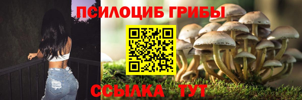 Галлюциногенные грибы MAGIC MUSHROOMS Азнакаево